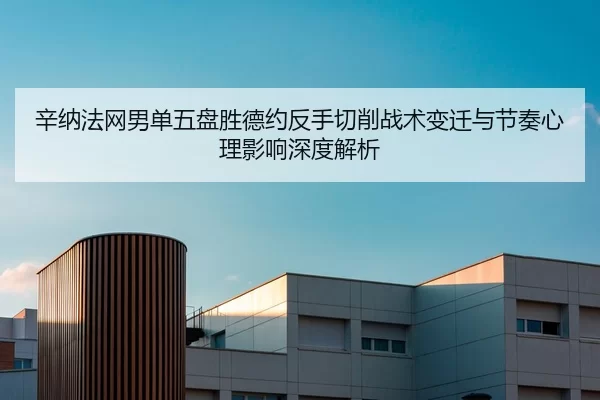 辛纳法网男单五盘胜德约反手切削战术变迁与节奏心理影响深度解析