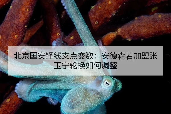 北京国安锋线支点变数：安德森若加盟张玉宁轮换如何调整